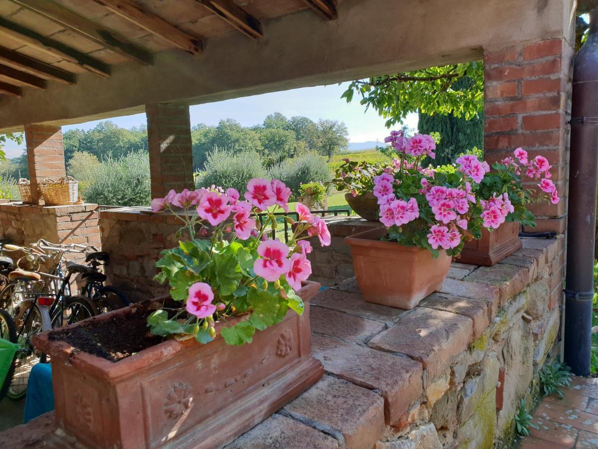 Agriturismo Il Sole Verde Bucine Exterior foto
